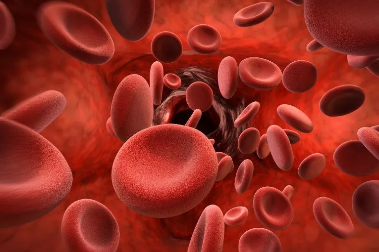 5 Standout Anemia Supplements and How We Chose Them